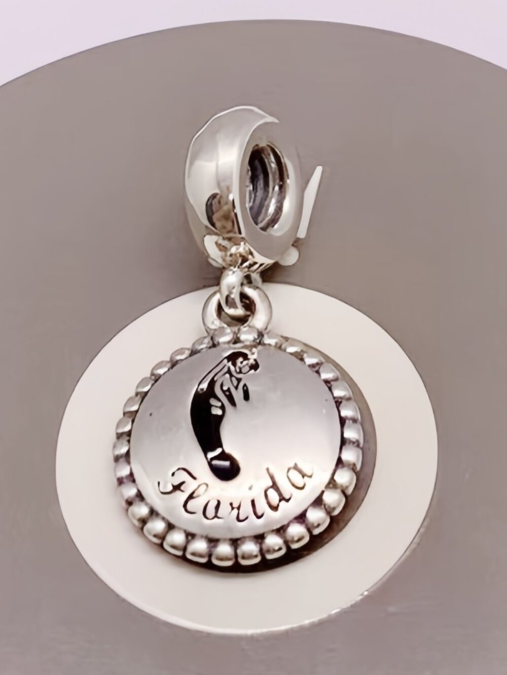 Pandora Florida Sea Lion Exclusive Charm Jewelry Bracelet S925 Sterling Silver